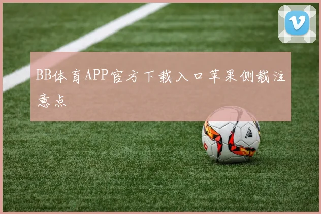 BB体育APP官方下载入口苹果侧载注意点