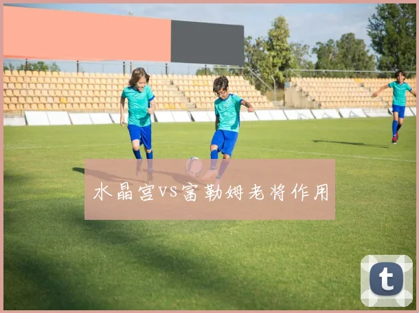 水晶宫vs富勒姆老将作用