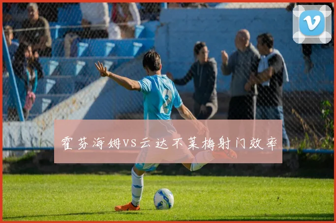 霍芬海姆vs云达不莱梅射门效率